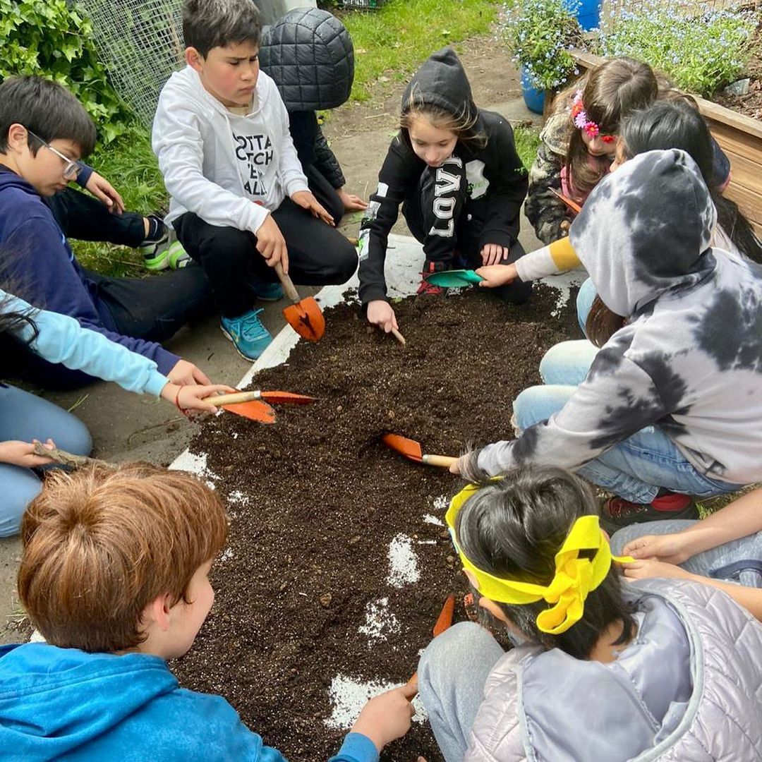 Niños sembrando en la tierra de la huerta