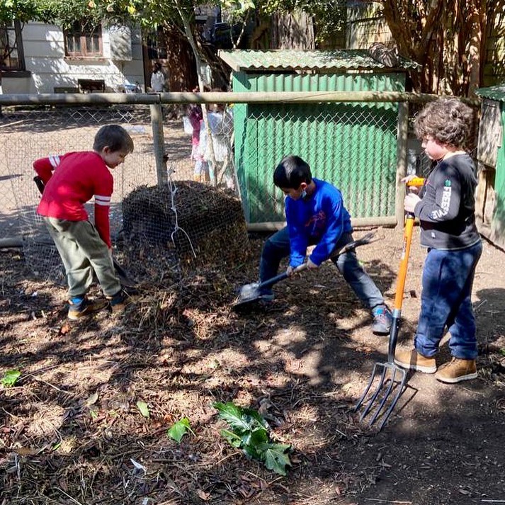 Niños trabajando juntos en la huerta escolar